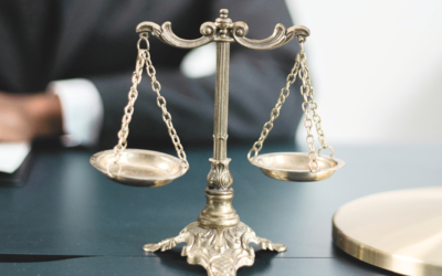 How can you protect yourself and your business from litigation?